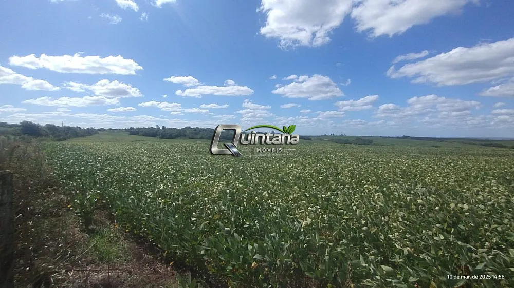 Fazenda, 288 hectares - Foto 2