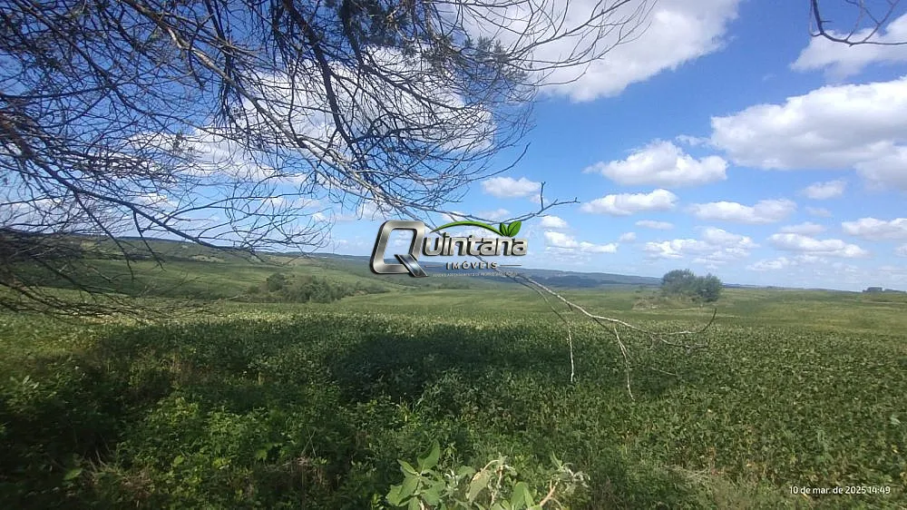 Fazenda, 288 hectares - Foto 8