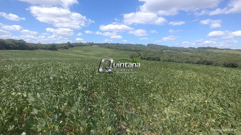 Fazenda, 288 hectares - Foto 10