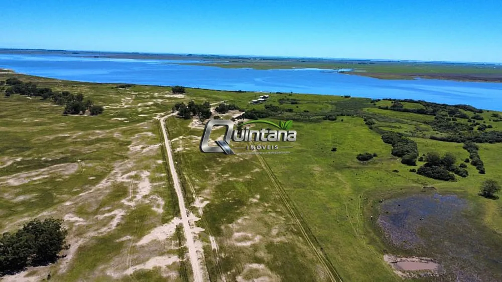 Fazenda, 1000 hectares - Foto 1