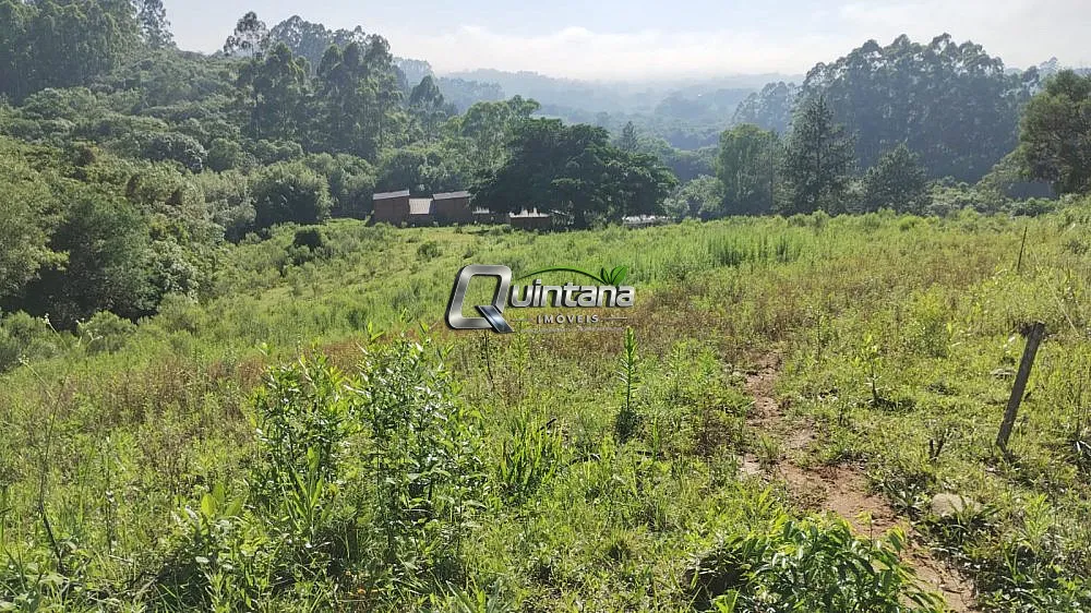 Fazenda, 44 hectares - Foto 3
