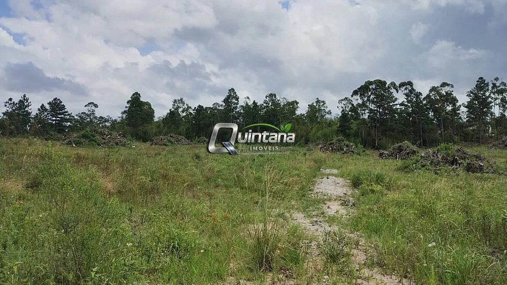 Sítio, 44 hectares - Foto 4