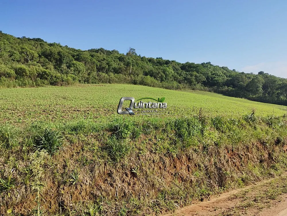 Fazenda, 44 hectares - Foto 2
