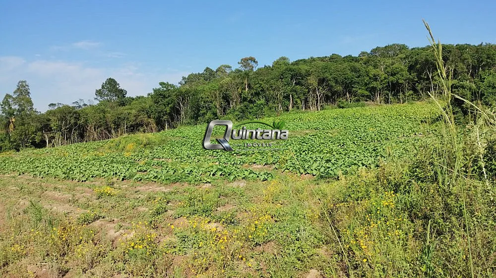 Fazenda, 44 hectares - Foto 4
