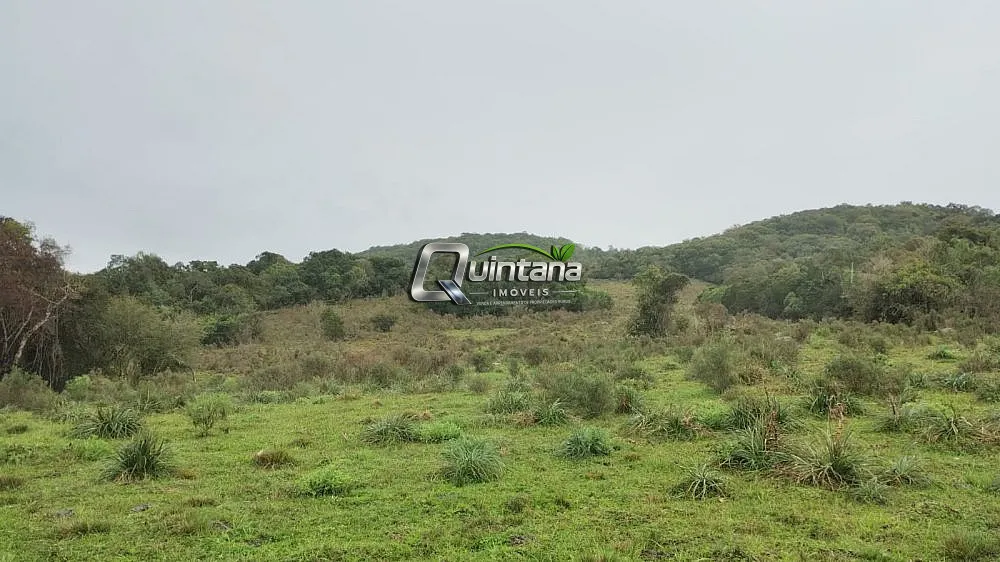 Sítio, 2 quartos, 60 hectares - Foto 3