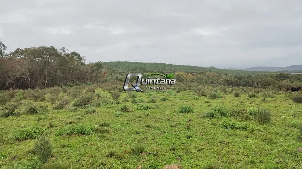 Sítio, 2 quartos, 60 hectares - Foto 4