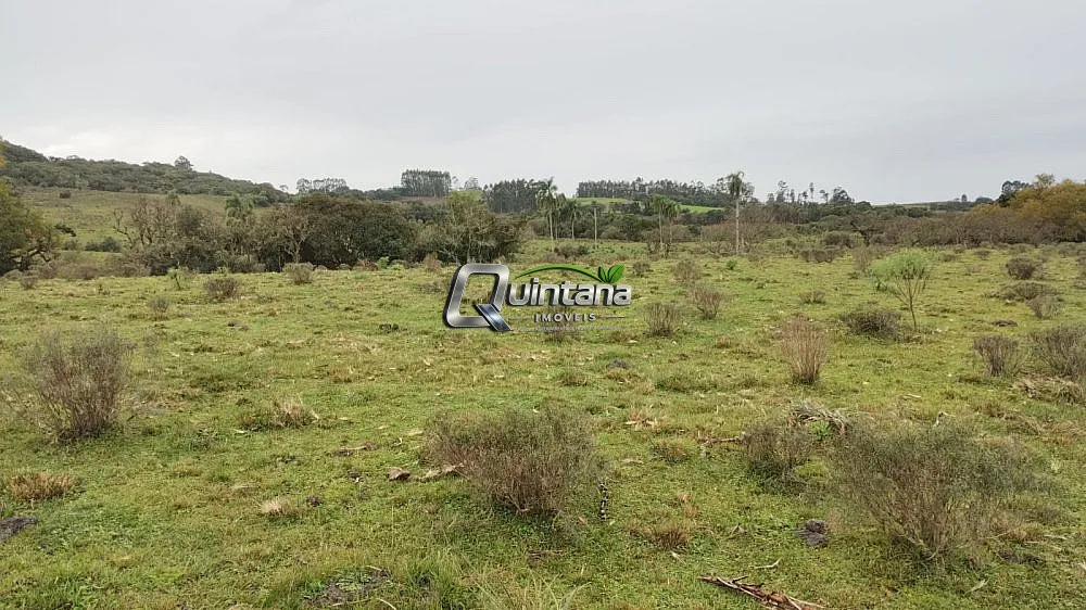 Sítio, 2 quartos, 60 hectares - Foto 7