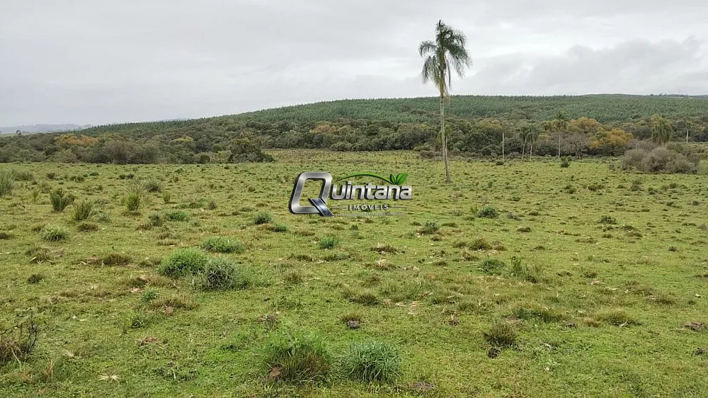 Sítio, 2 quartos, 60 hectares - Foto 1