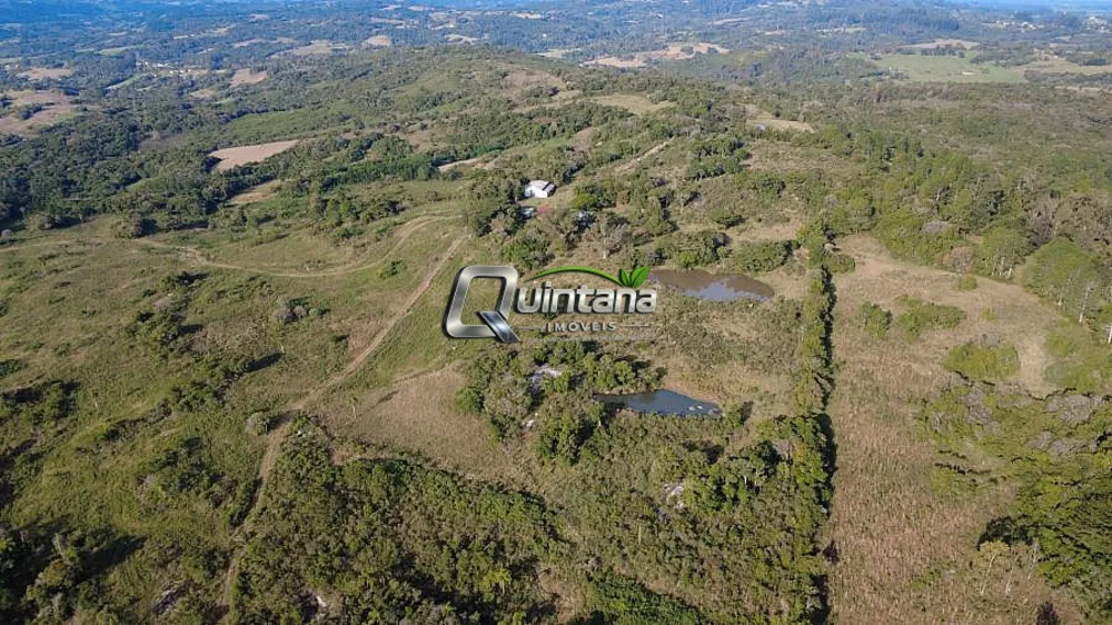 Sítio, 4 quartos, 6 hectares - Foto 2