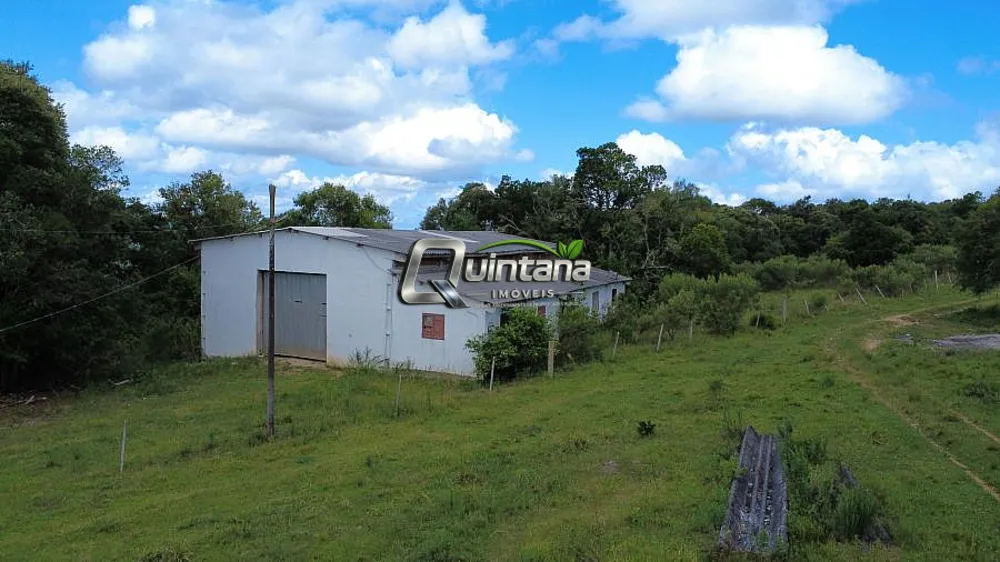 Sítio, 4 quartos, 6 hectares - Foto 8