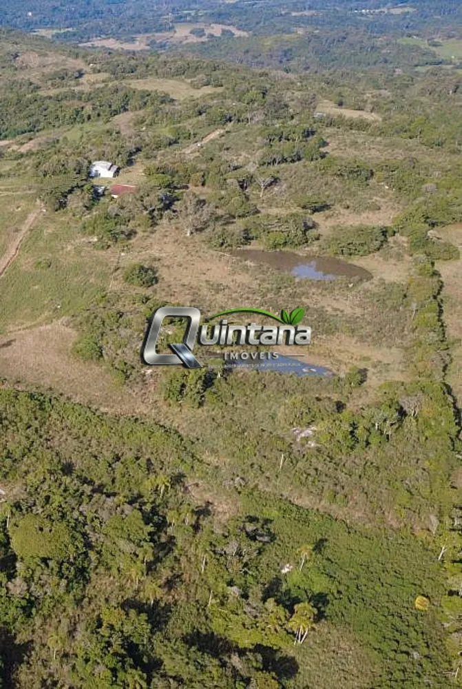 Sítio, 4 quartos, 6 hectares - Foto 4