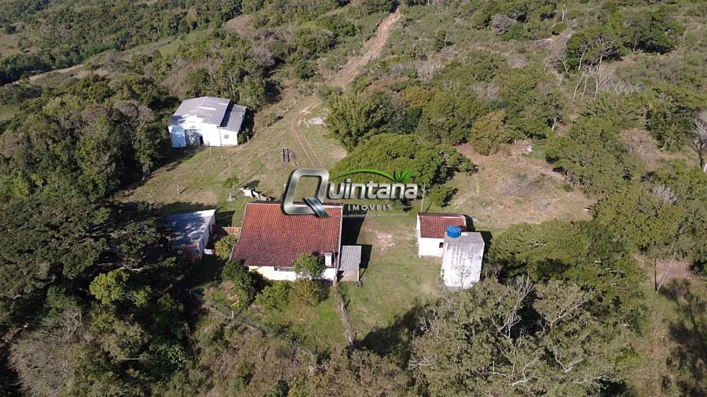 Sítio, 4 quartos, 6 hectares - Foto 6