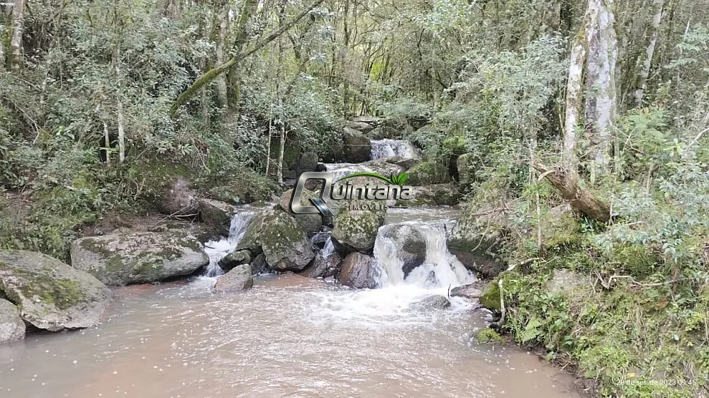 Sítio, 2 quartos, 60 hectares - Foto 3