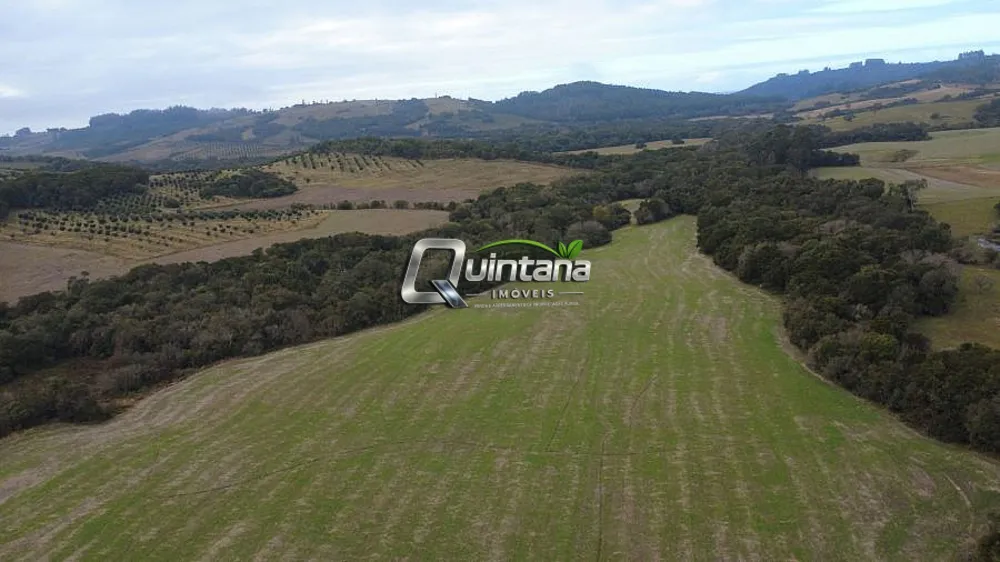Sítio, 2 quartos, 50 hectares - Foto 6