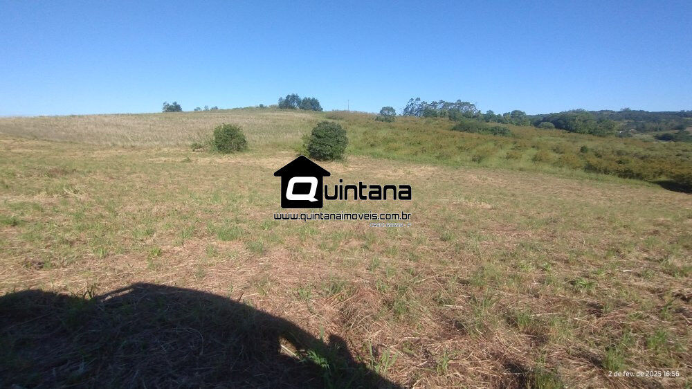 Chácara, 1 quarto, 4 hectares - Foto 2