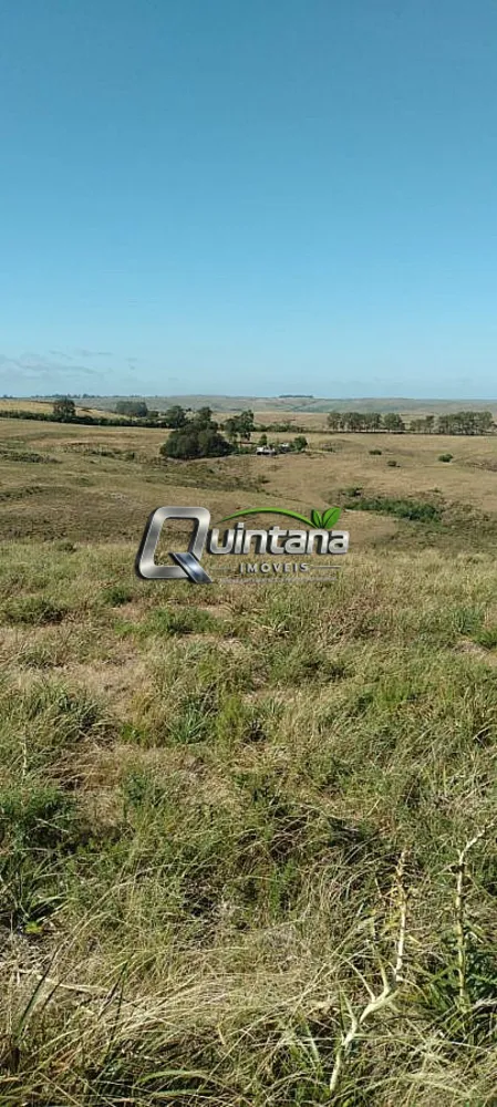 Fazenda, 36 hectares - Foto 3