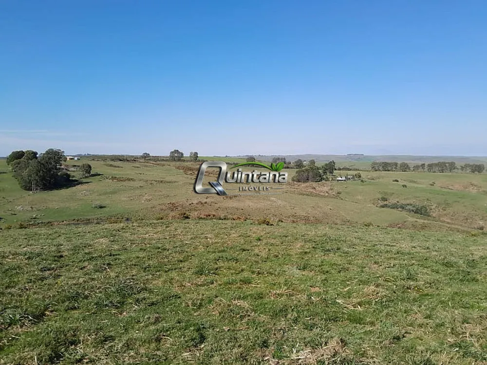 Fazenda, 36 hectares - Foto 6