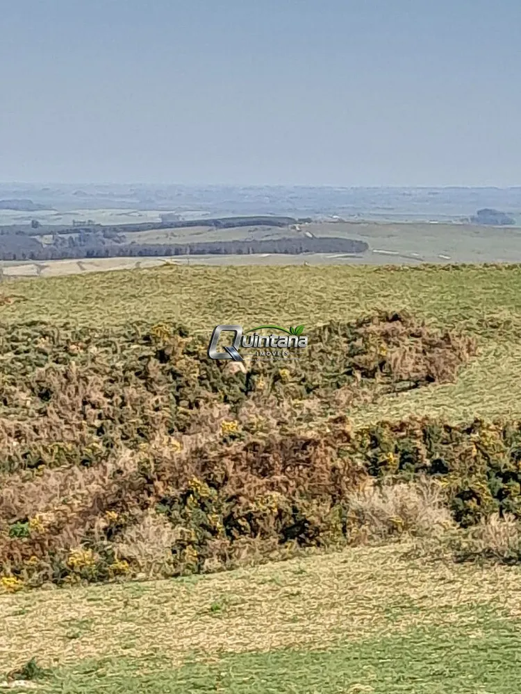 Fazenda, 36 hectares - Foto 4