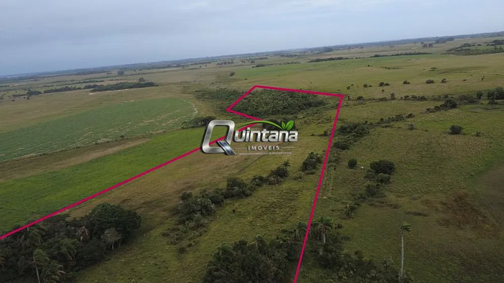 Sítio, 12 hectares - Foto 4