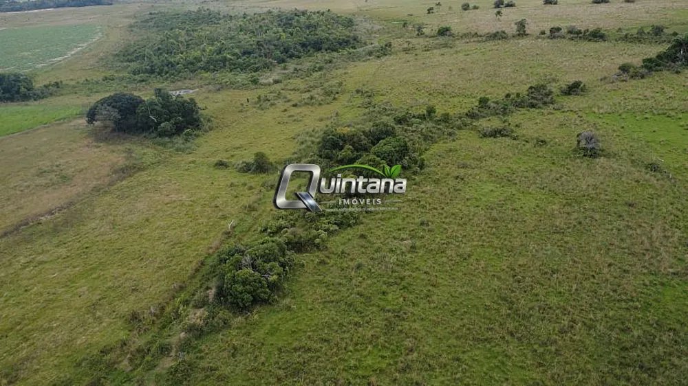 Sítio, 12 hectares - Foto 11