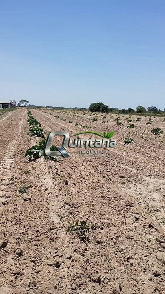Sítio, 12 hectares - Foto 8