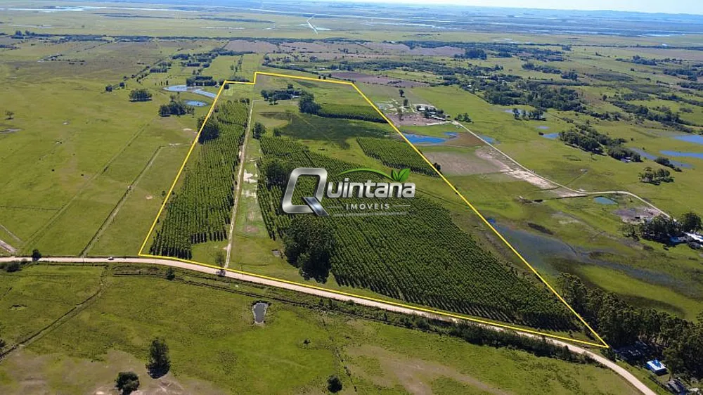 Sítio, 2 quartos, 50 hectares - Foto 1