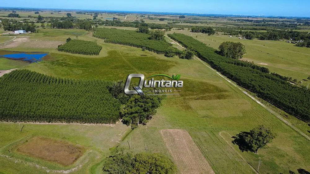 Sítio, 2 quartos, 50 hectares - Foto 2