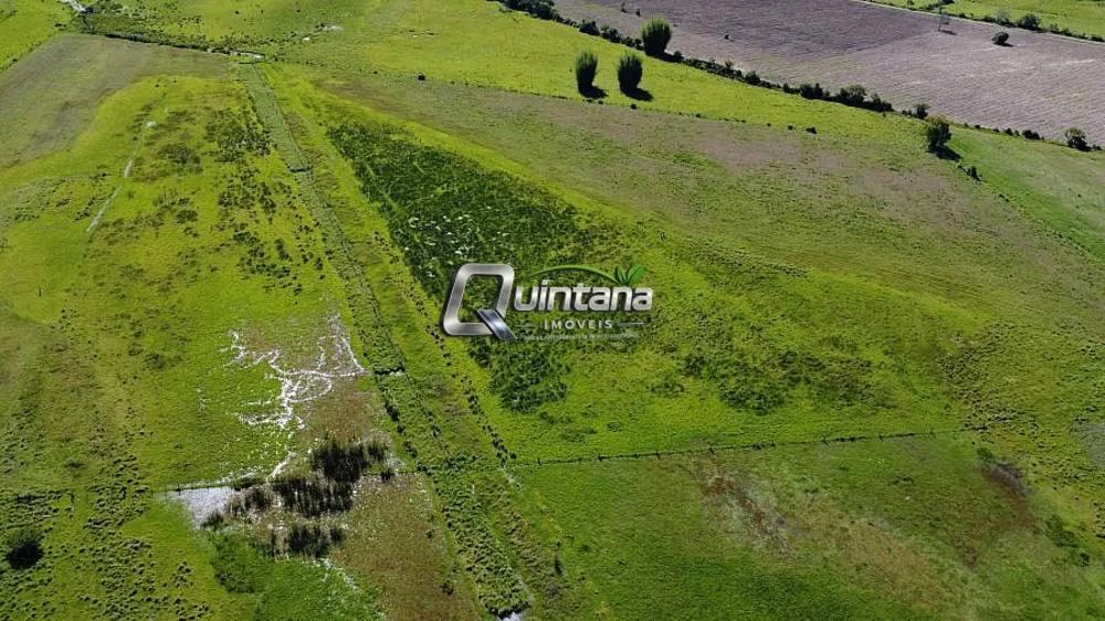 Sítio, 2 quartos, 50 hectares - Foto 3
