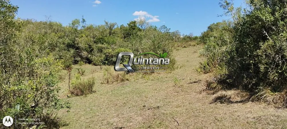 Fazenda, 42 hectares - Foto 1
