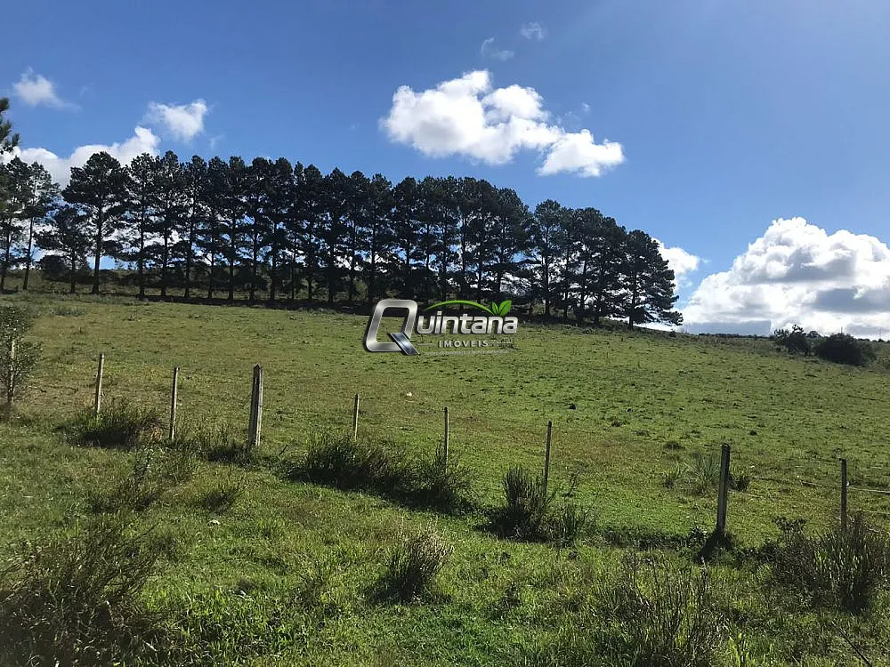 Fazenda, 1500 hectares - Foto 4
