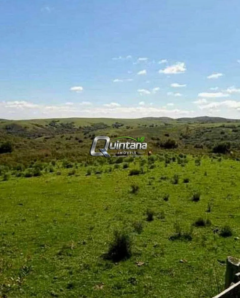 Fazenda, 1500 hectares - Foto 2