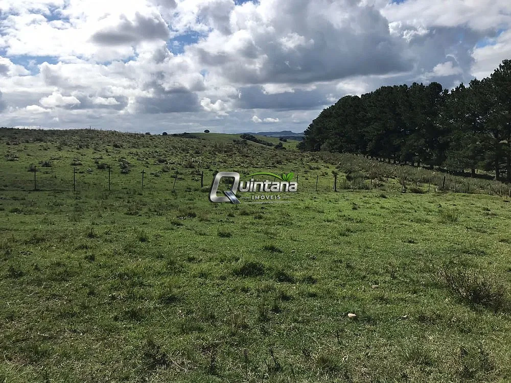Fazenda, 1500 hectares - Foto 2