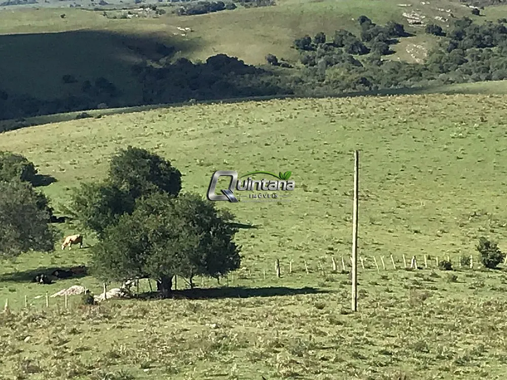 Fazenda, 1500 hectares - Foto 1