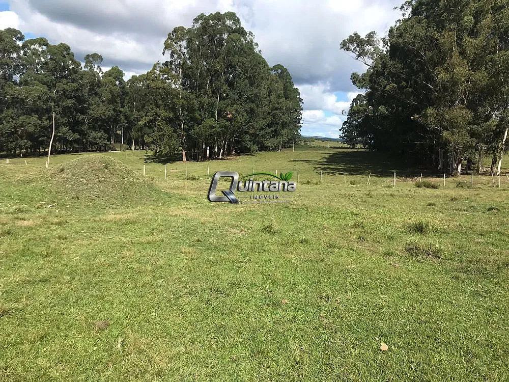 Fazenda, 1500 hectares - Foto 6