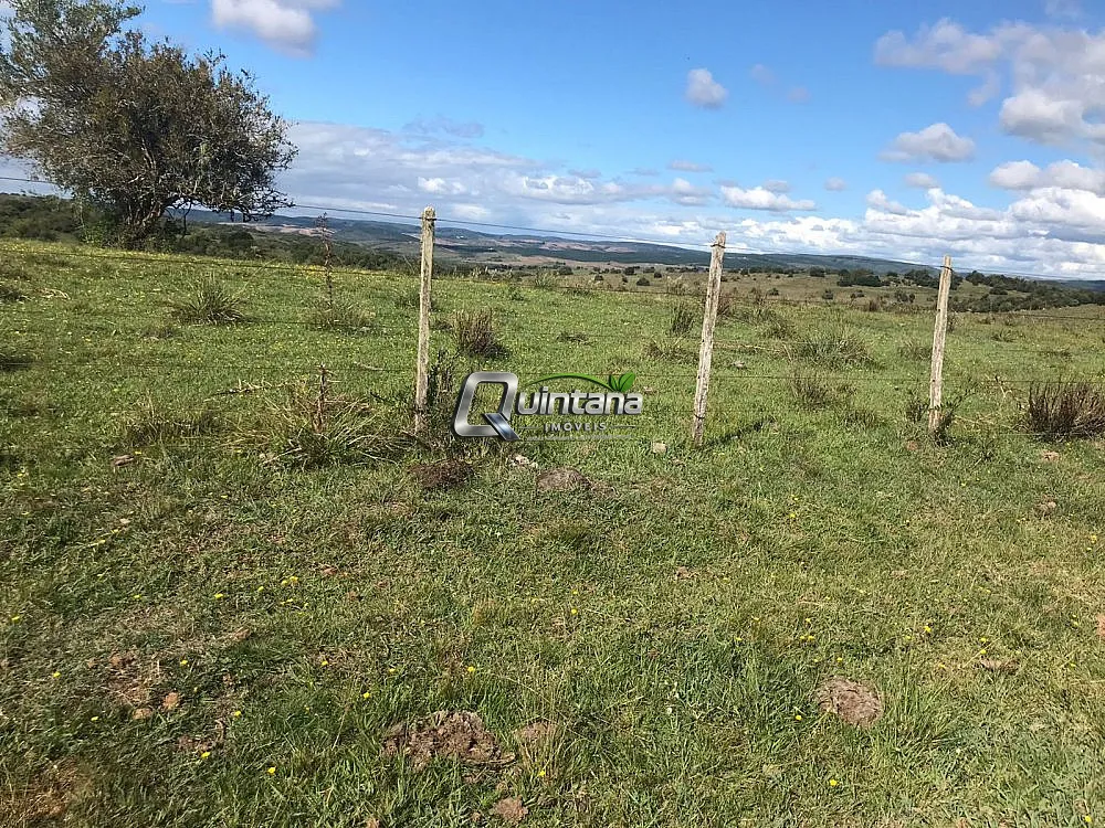 Fazenda, 1500 hectares - Foto 7