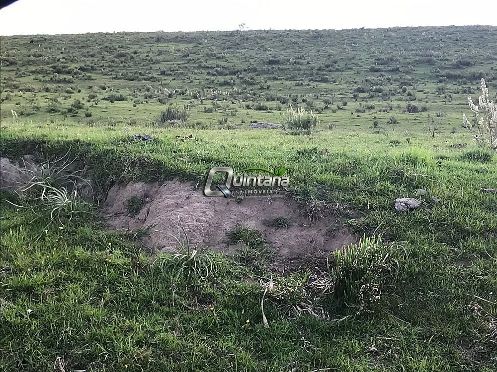 Fazenda, 1500 hectares - Foto 8