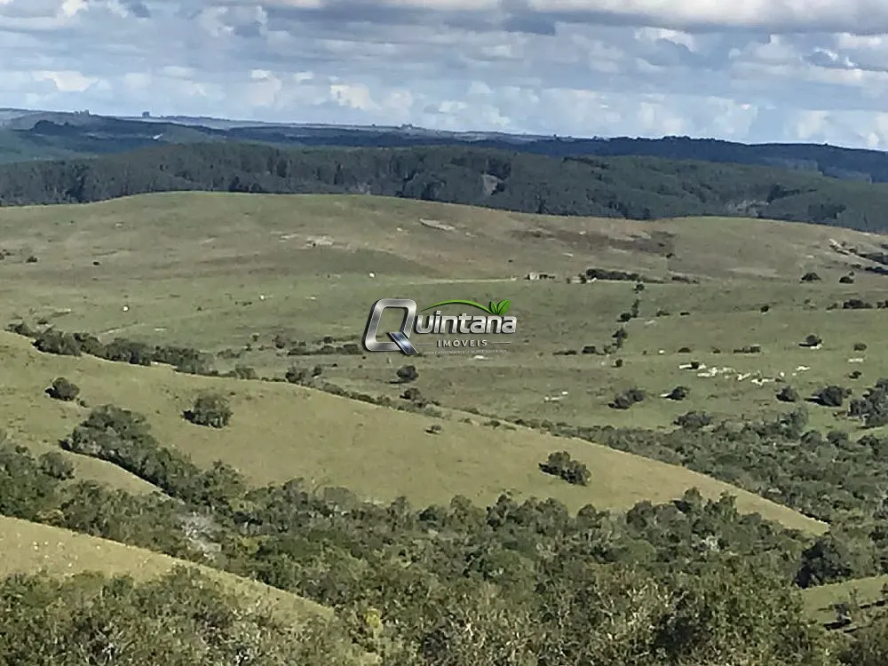 Fazenda, 1500 hectares - Foto 3