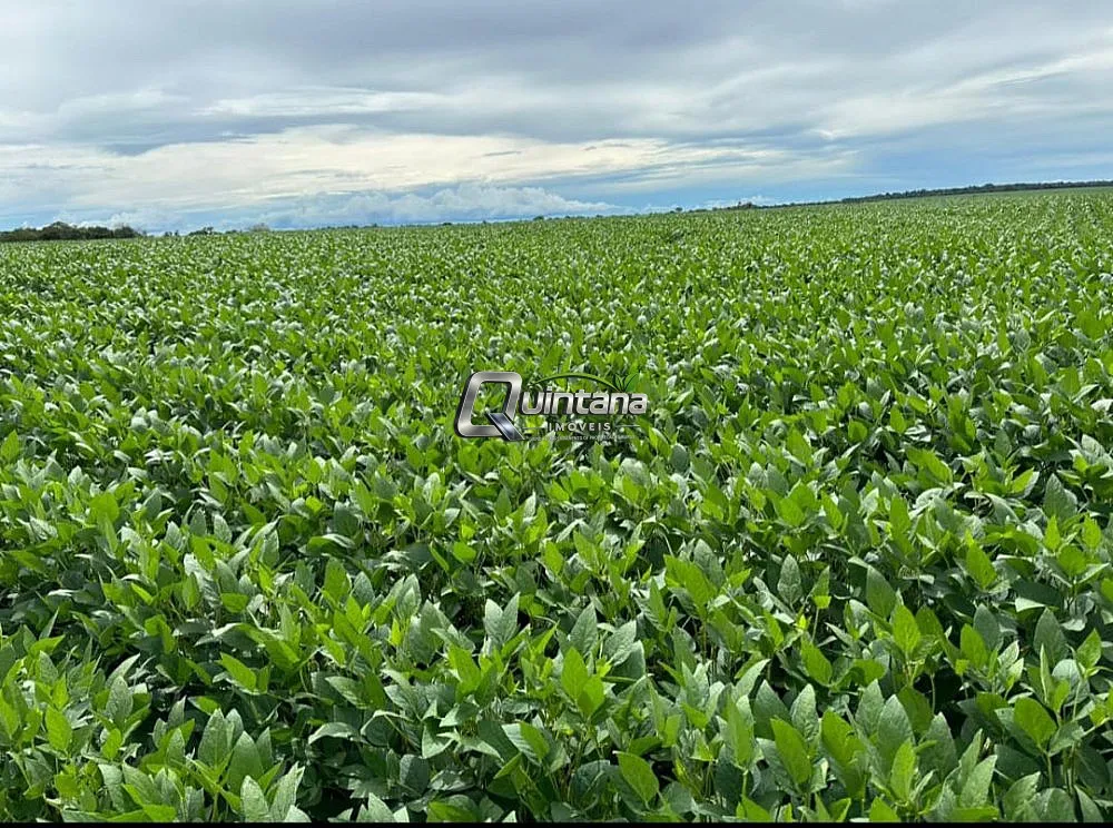 Fazenda, 410 hectares - Foto 6