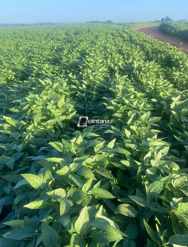 Fazenda, 410 hectares - Foto 1