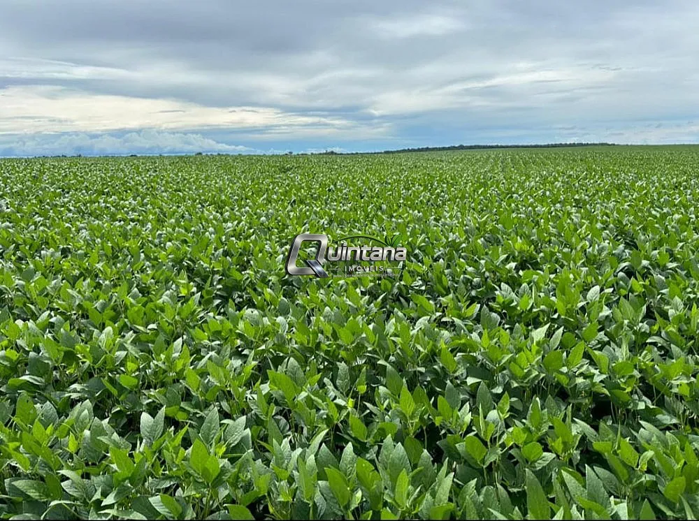 Fazenda, 410 hectares - Foto 3