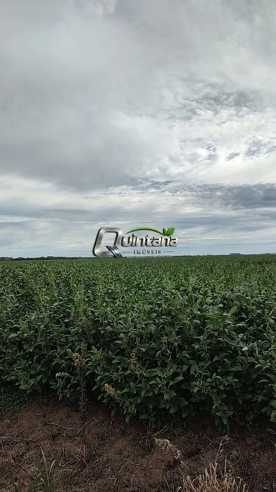 Fazenda, 410 hectares - Foto 4