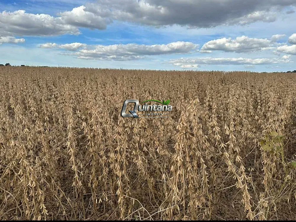 Fazenda, 410 hectares - Foto 4