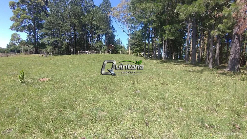 Chácara, 2 quartos, 5 hectares - Foto 7