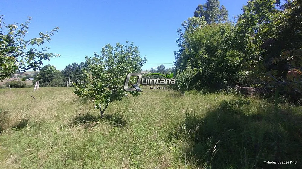 Chácara, 2 quartos, 5 hectares - Foto 10
