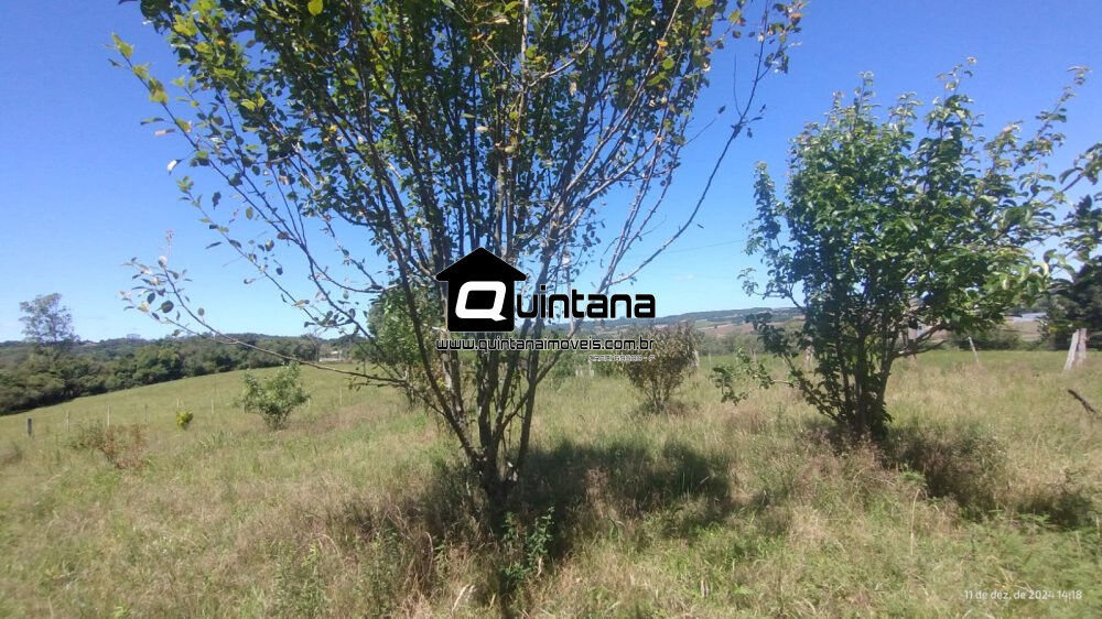 Chácara, 2 quartos, 5 hectares - Foto 4