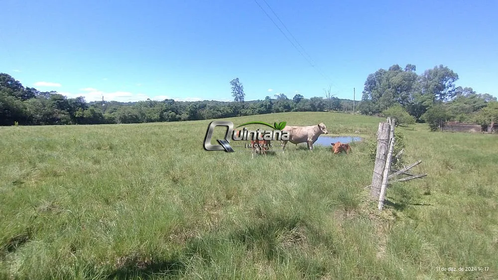 Chácara, 2 quartos, 5 hectares - Foto 3