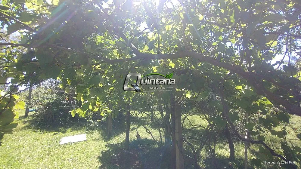 Chácara, 2 quartos, 5 hectares - Foto 11