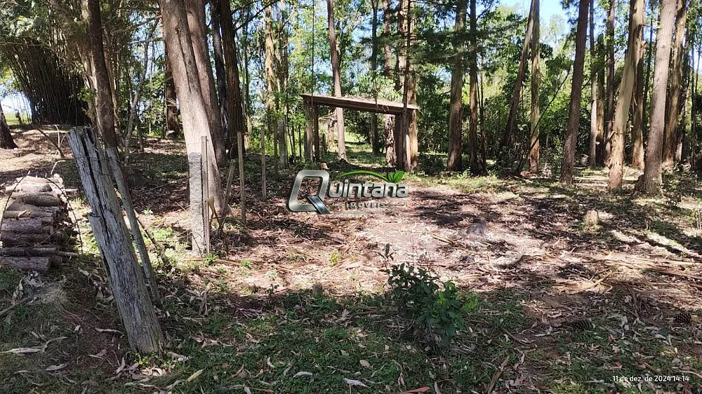 Chácara, 2 quartos, 5 hectares - Foto 6