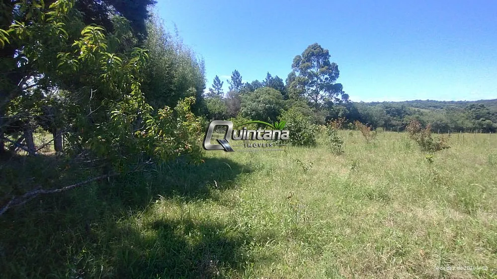 Chácara, 2 quartos, 5 hectares - Foto 4