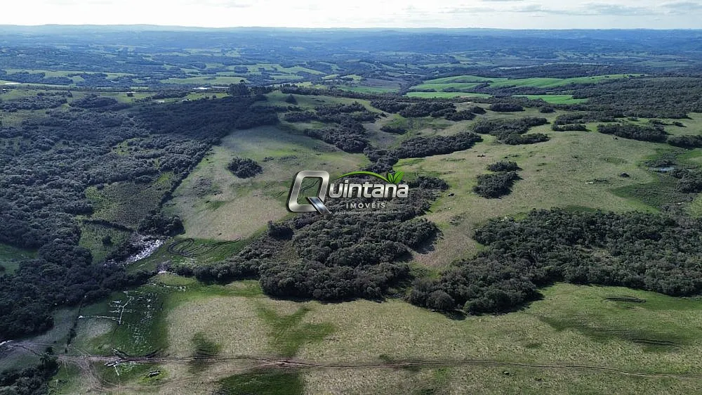 Fazenda, 185 hectares - Foto 6